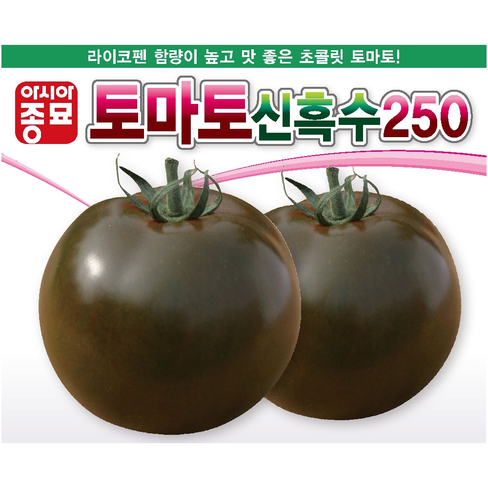 아시아종묘/토마토씨앗종자 토마토신흑수250(100립,1000립)